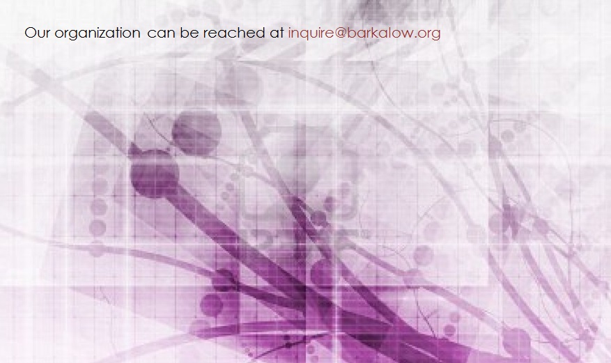 Barkalow Consulting - UX, UCD, and Full Stack Development